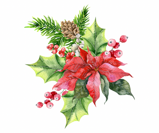 Watercolor Christmas Poinsettia PNG Bundle | 2 Designs