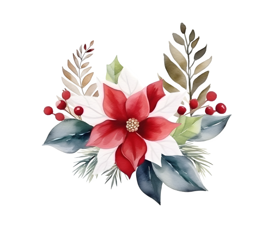 Classic Poinsettia Winter PNG Bundle – Digital Download