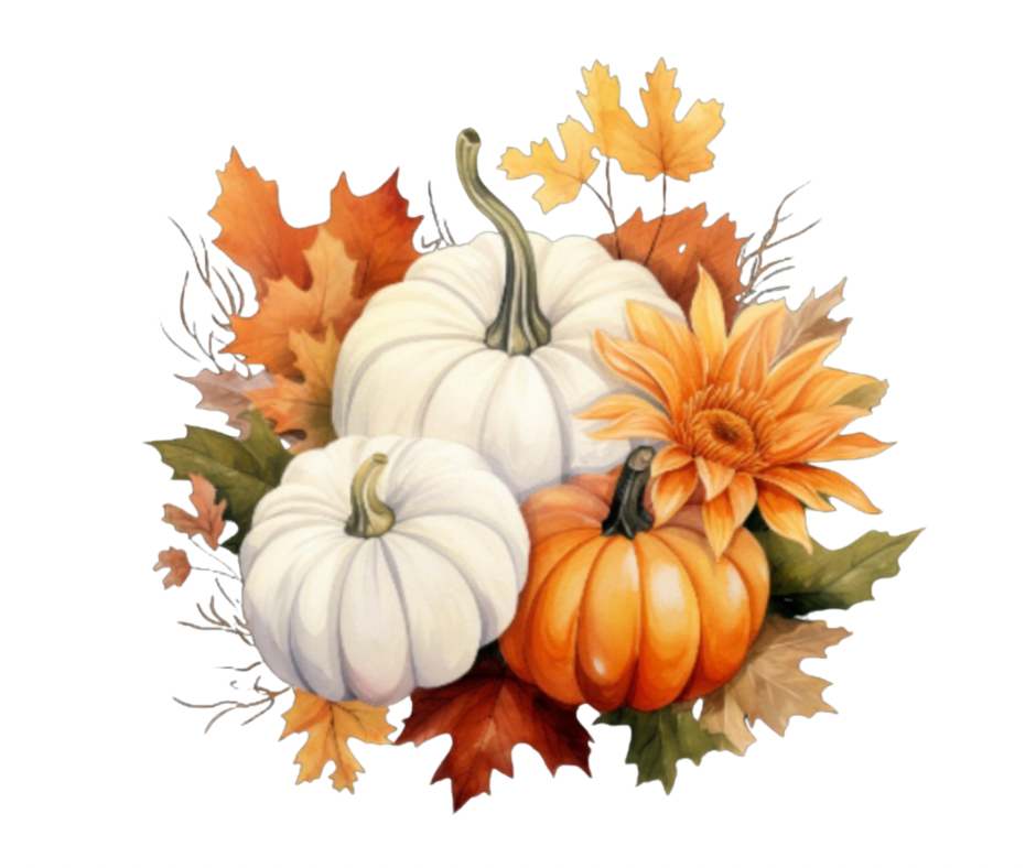 Fall Dahlia & Pumpkin PNG Bundle – 14 Designs Digital Download
