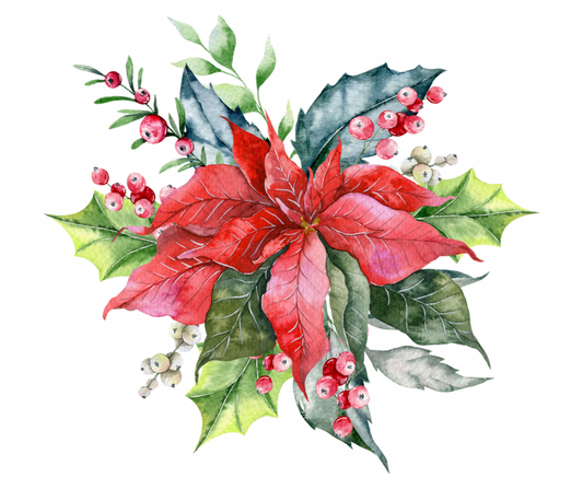 Watercolor Christmas Poinsettia PNG Bundle | 2 Designs