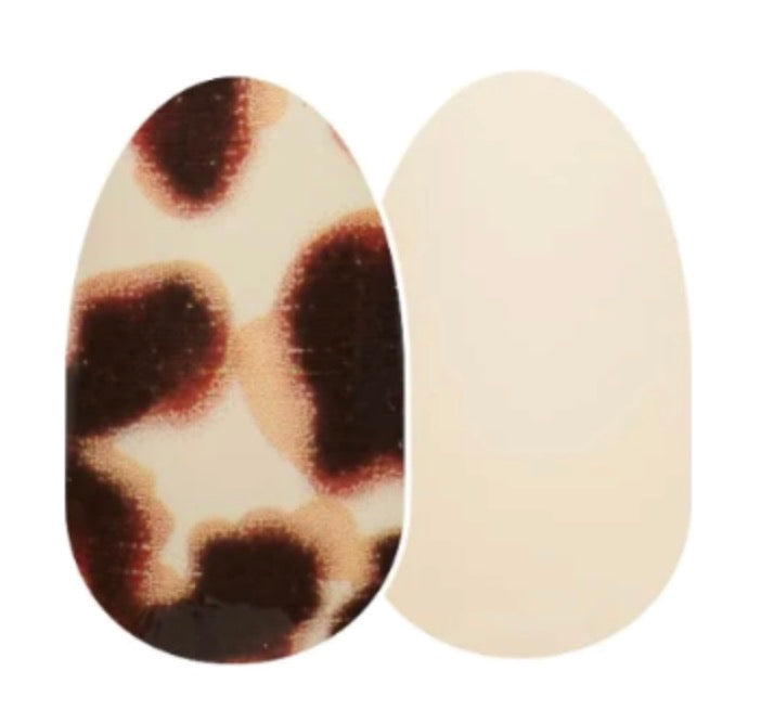 Show and Shell