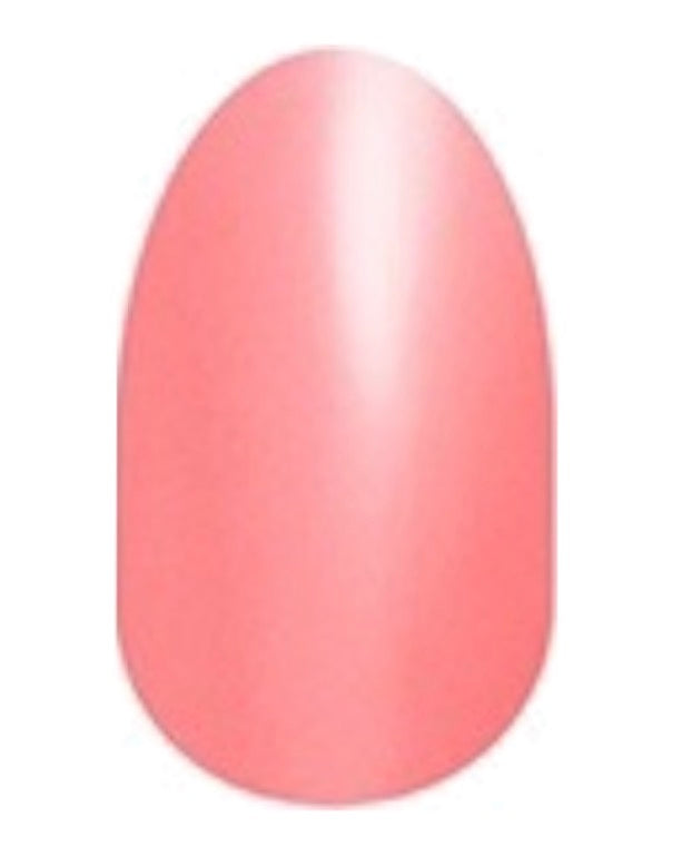 Caribbean Coral