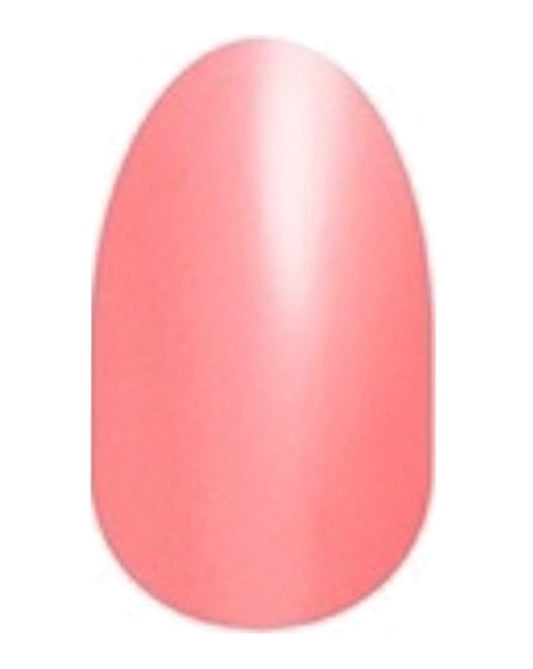 Caribbean Coral