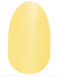 Belgian Buttercup