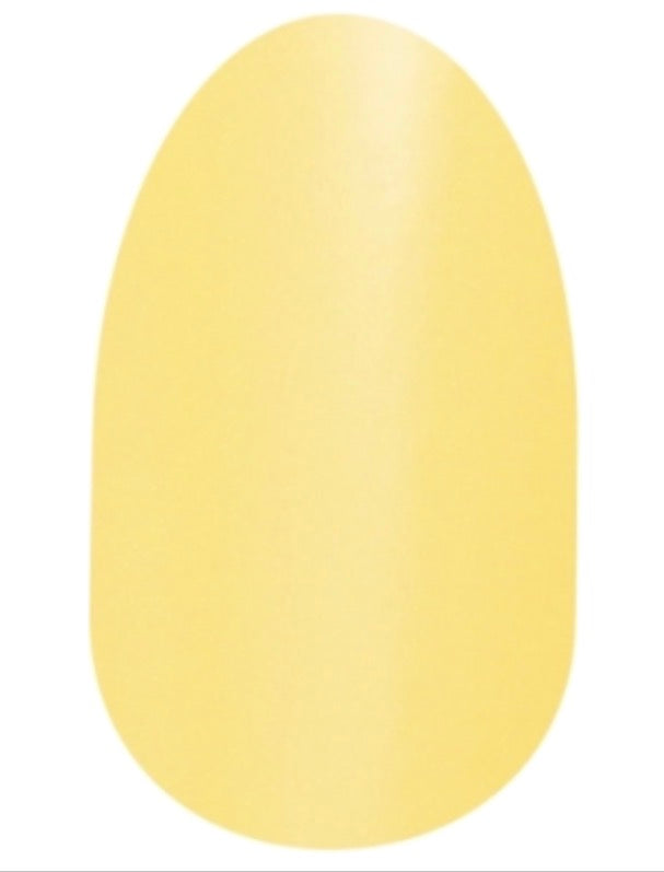 Belgian Buttercup
