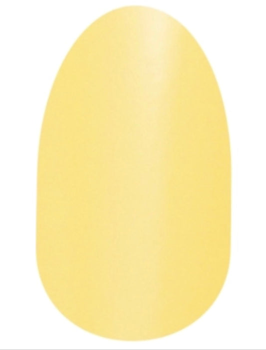 Belgian Buttercup
